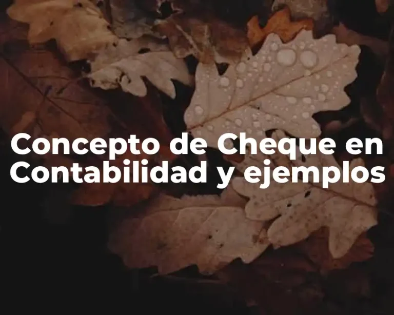 Concepto de Cheque en Contabilidad y ejemplos