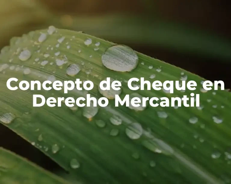 Concepto de Cheque en Derecho Mercantil
