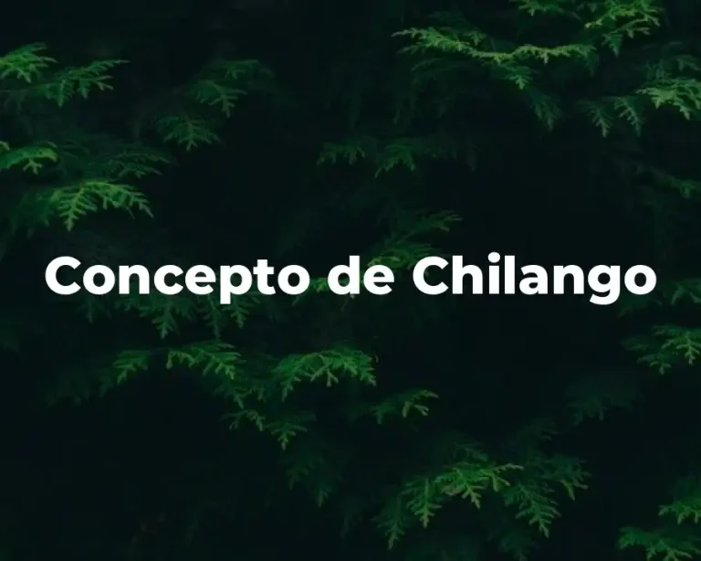 Concepto de Chilango