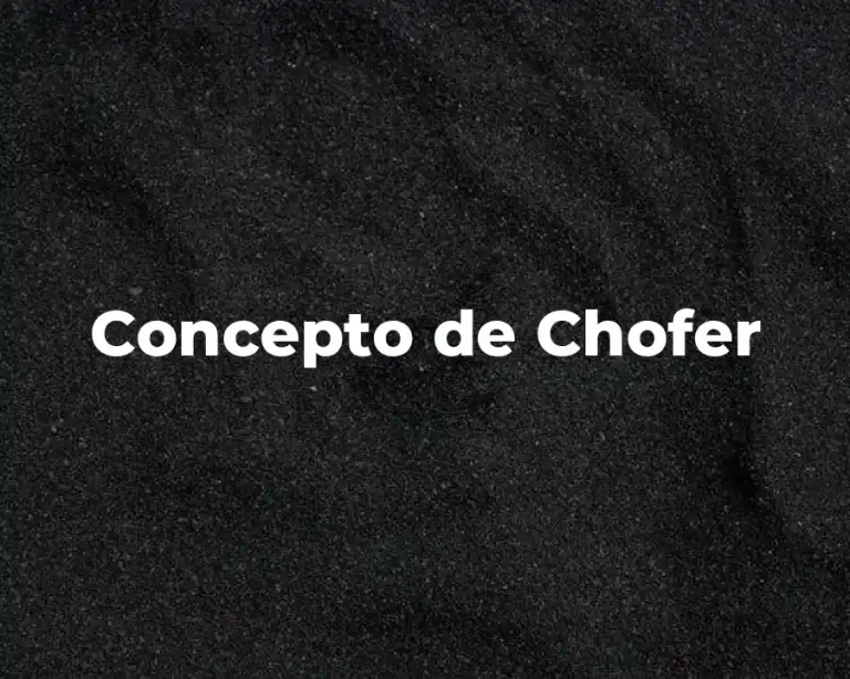 Concepto de Chofer