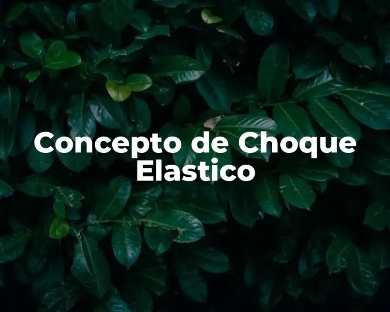 Concepto de Choque Elastico