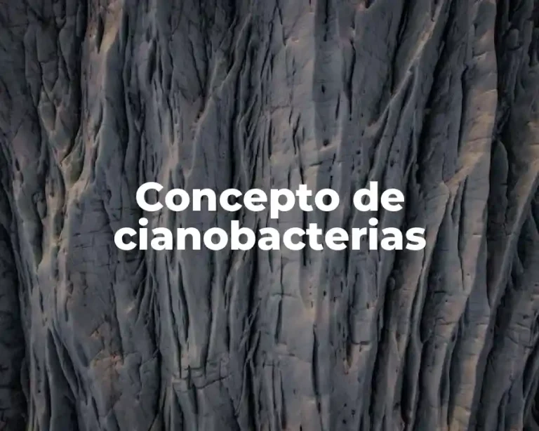 Concepto de cianobacterias