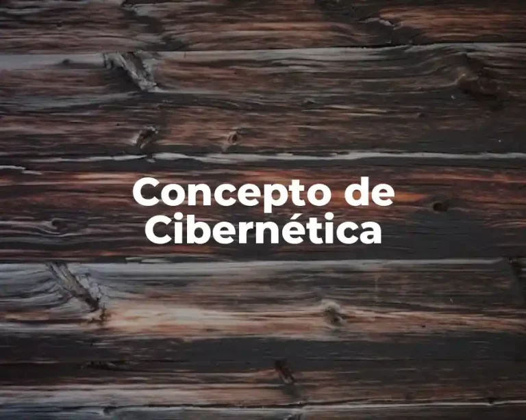 Concepto de Cibernética