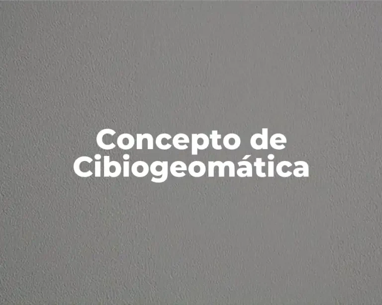 Concepto de Cibiogeomática