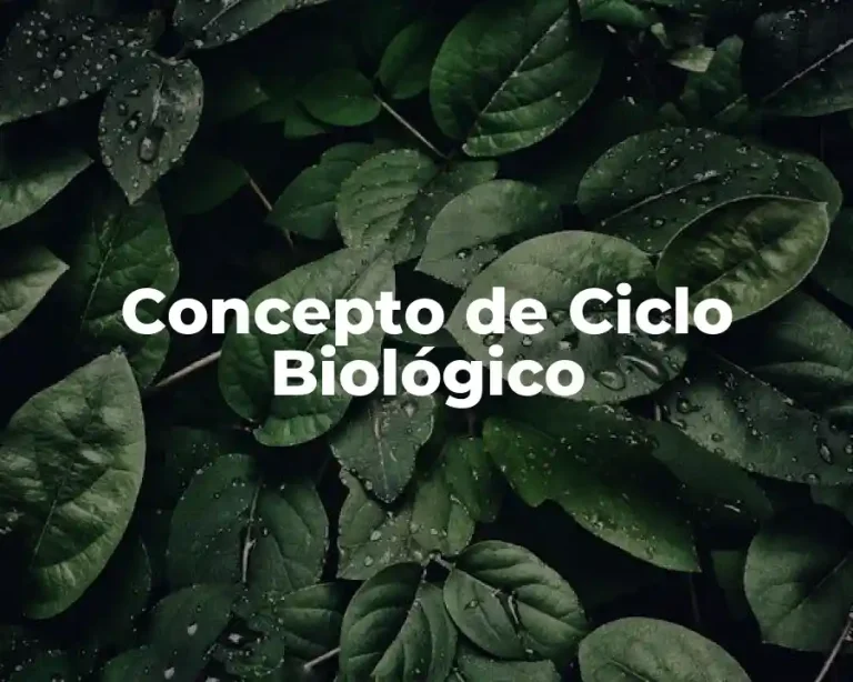 Concepto de Ciclo Biológico
