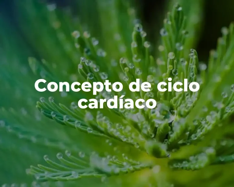 Concepto de ciclo cardíaco