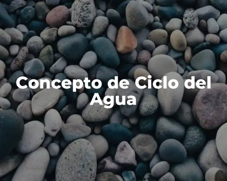 Concepto de Ciclo del Agua