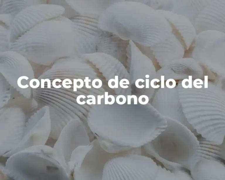 Concepto de ciclo del carbono