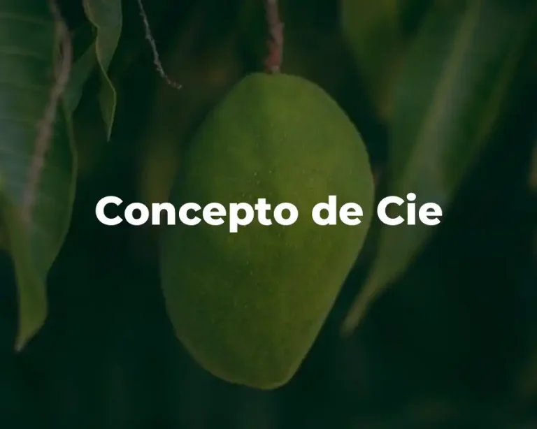 Concepto de Cie