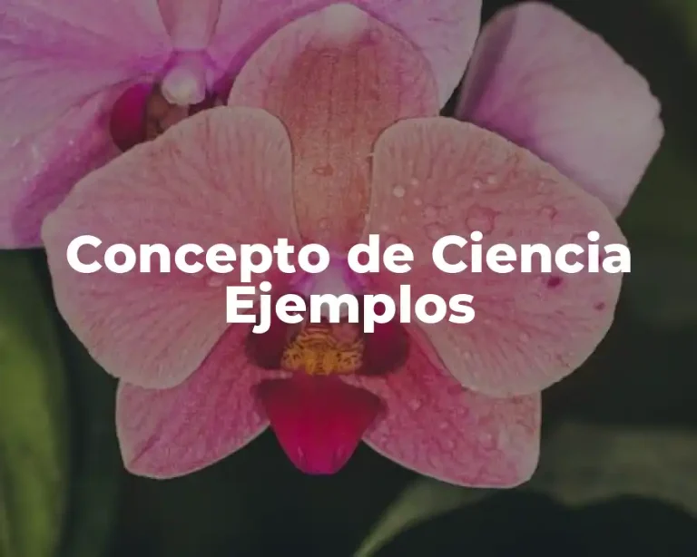 Concepto de Ciencia Ejemplos