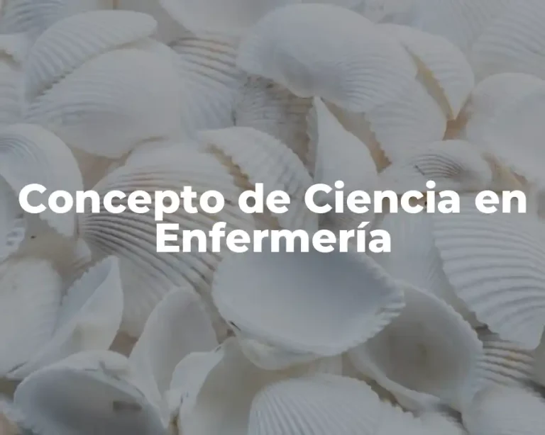 Concepto de Ciencia en Enfermería