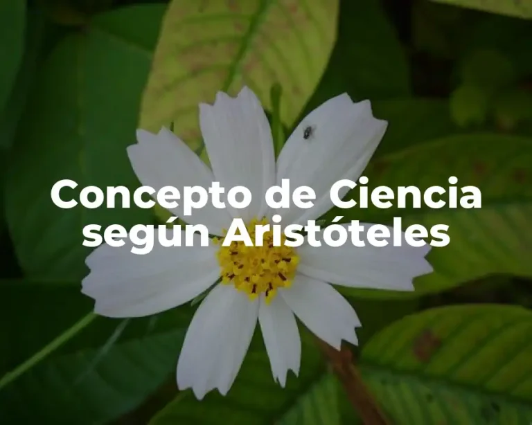 Concepto de Ciencia según Aristóteles