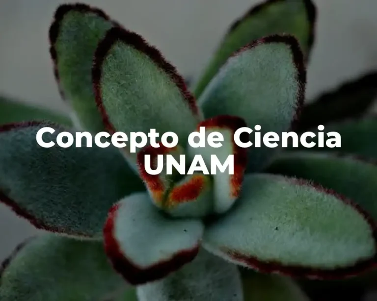 Concepto de Ciencia UNAM