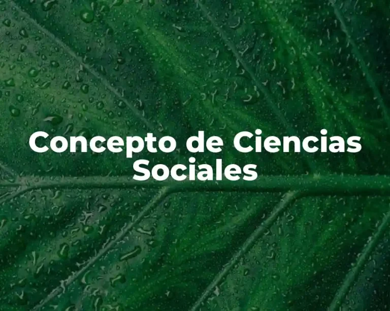 Concepto de Ciencias Sociales