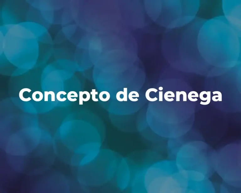 Concepto de Cienega