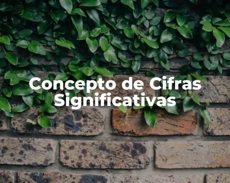 Concepto de Cifras Significativas
