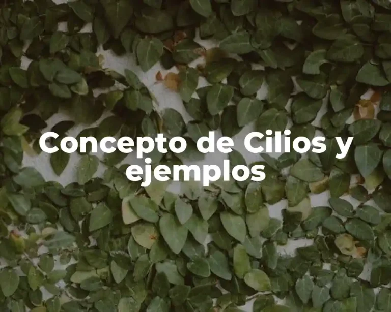 Concepto de Cilios y ejemplos
