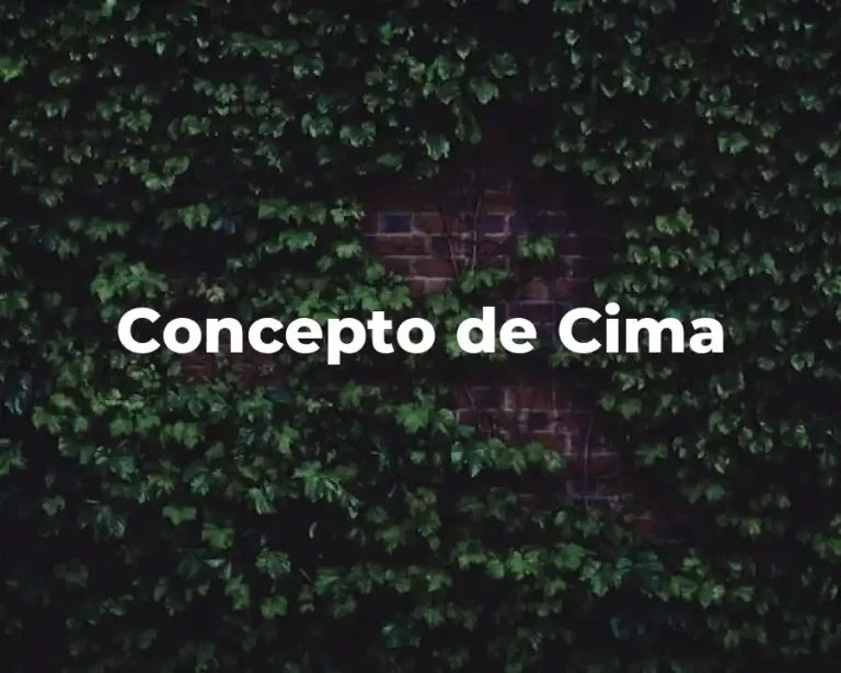 Concepto de Cima
