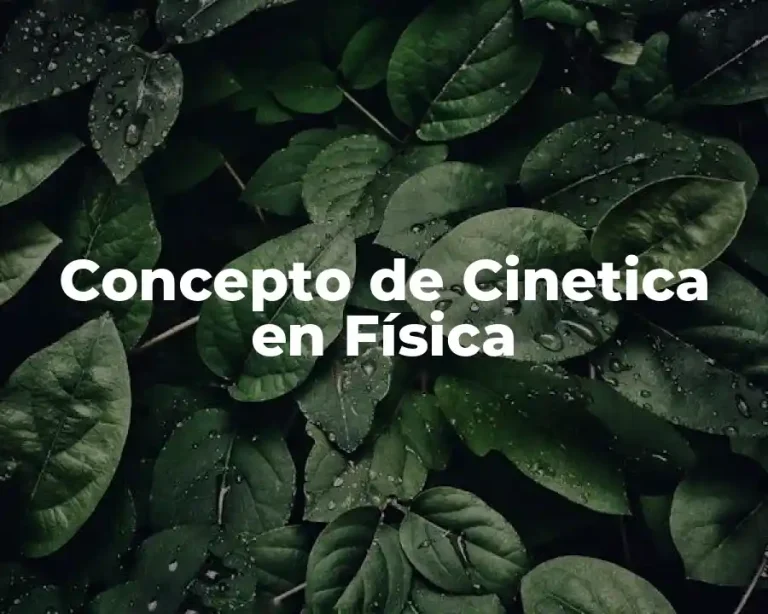 Concepto de Cinetica en Física
