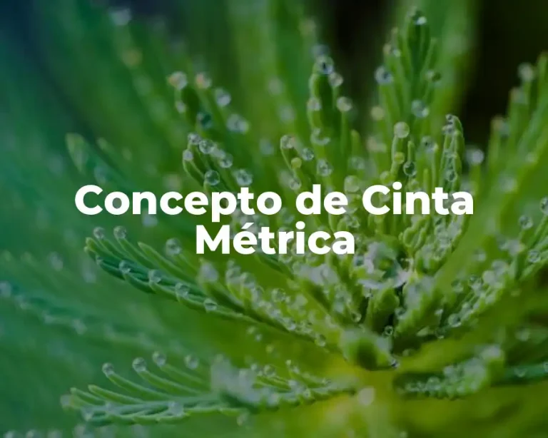 Concepto de Cinta Métrica