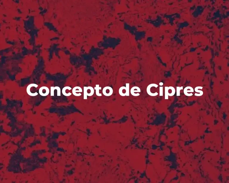 Concepto de Cipres