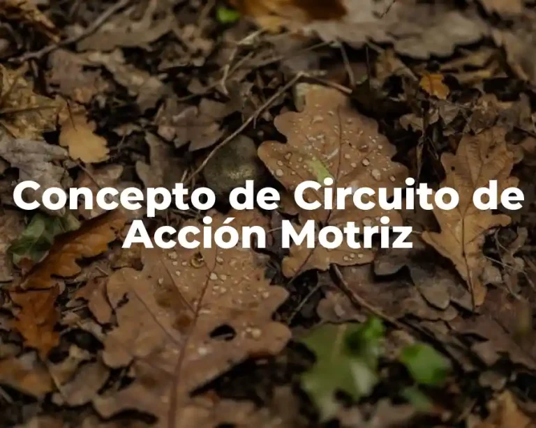 Concepto de Circuito de Acción Motriz