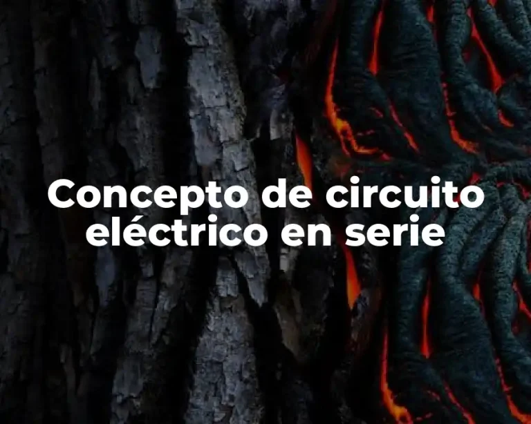 Concepto de circuito eléctrico en serie