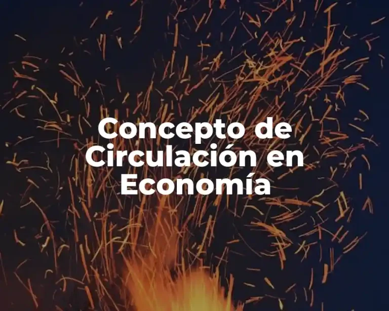 Concepto de Circulación en Economía