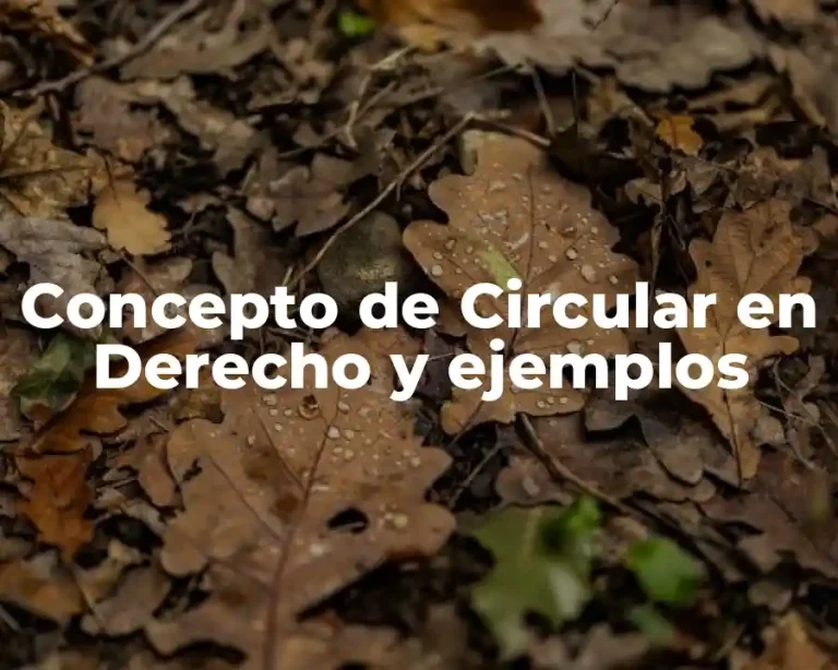 Concepto de Circular en Derecho y ejemplos