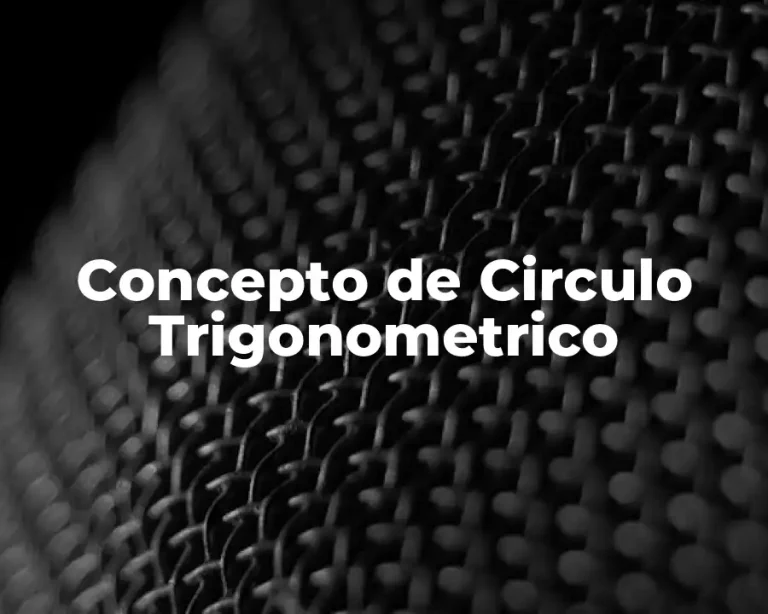 Concepto de Circulo Trigonometrico