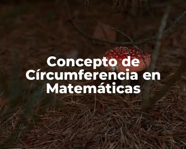Concepto de Círcumferencia en Matemáticas