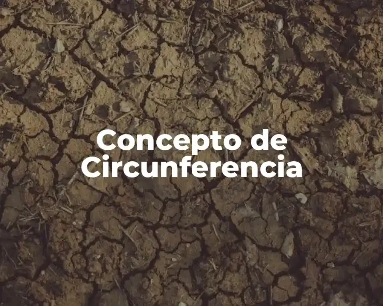 Concepto de Circunferencia