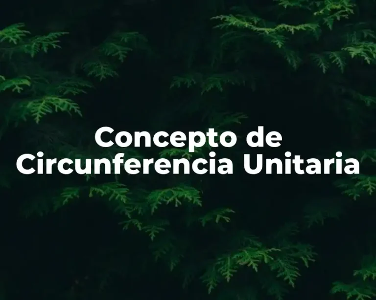Concepto de Circunferencia Unitaria