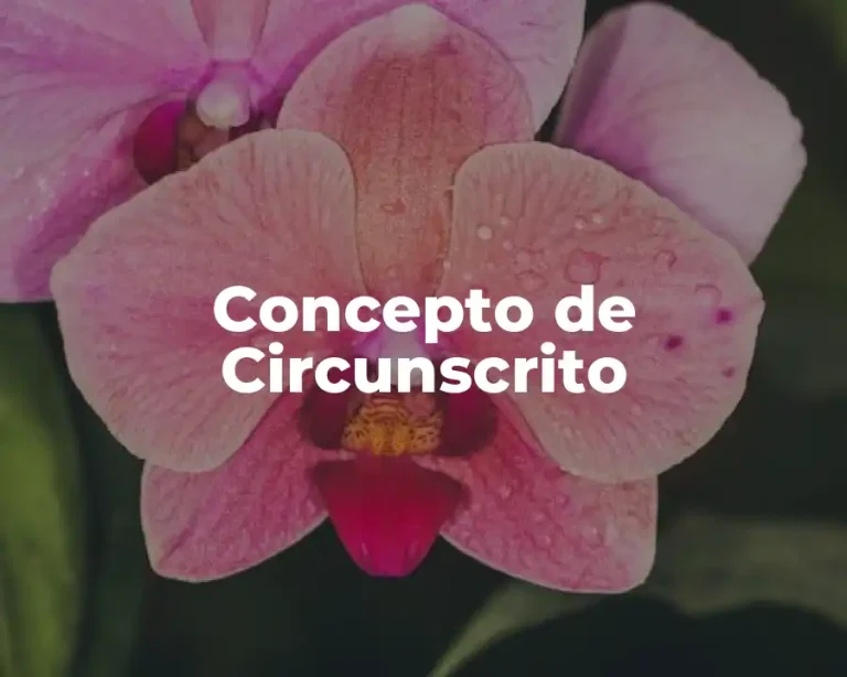Concepto de Circunscrito