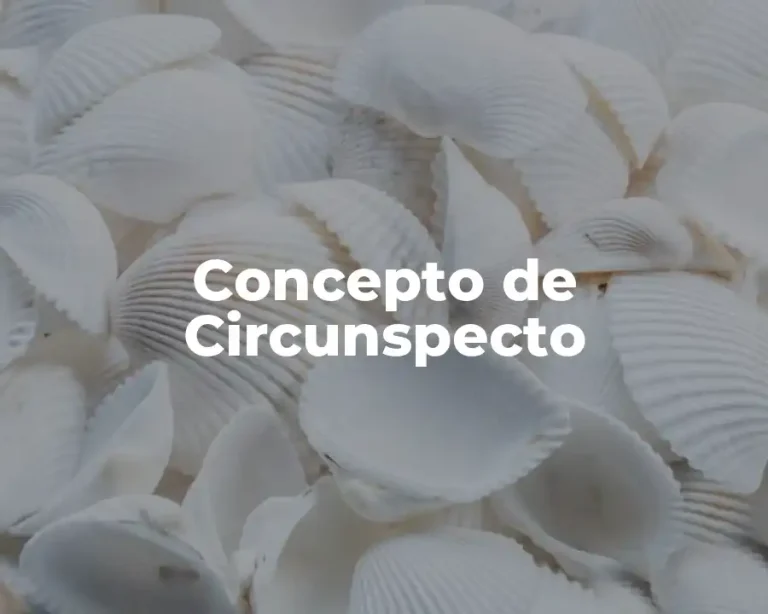 Concepto de Circunspecto