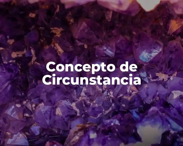 Concepto de Circunstancia