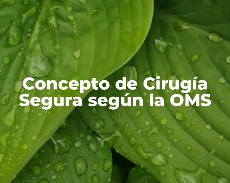 Concepto de Cirugía Segura según la OMS