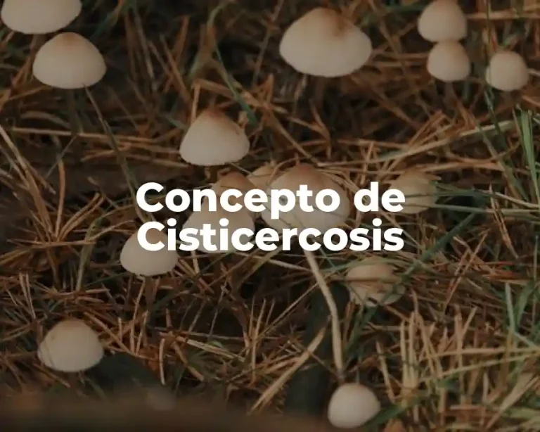Concepto de Cisticercosis