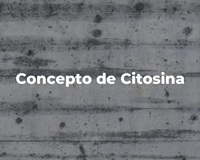 Concepto de Citosina