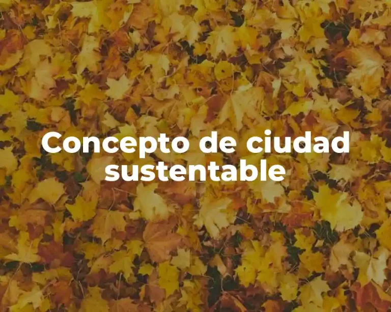 Concepto de ciudad sustentable