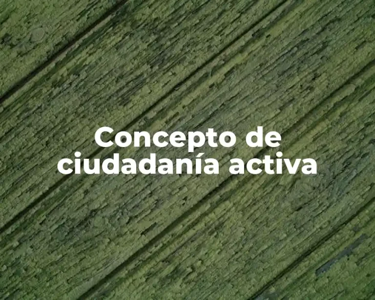 Concepto de ciudadanía activa