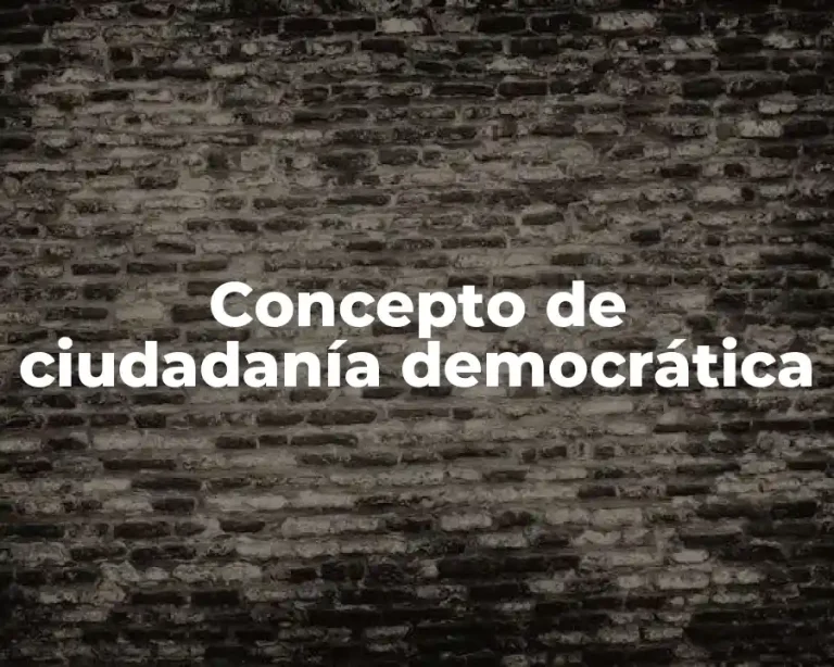 Concepto de ciudadanía democrática