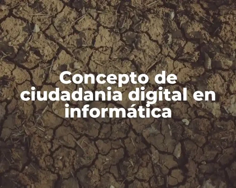 Concepto de ciudadania digital en informática