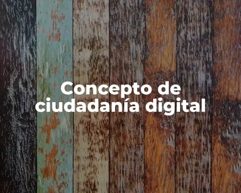 Concepto de ciudadanía digital