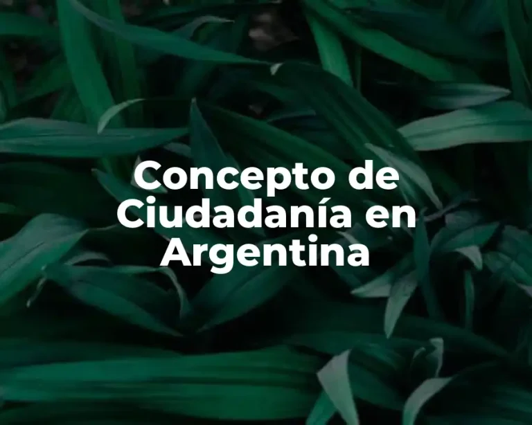 Concepto de Ciudadanía en Argentina