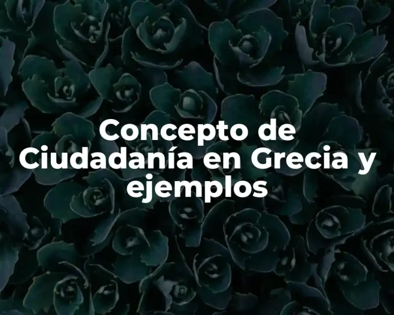 Concepto de Ciudadanía en Grecia y ejemplos