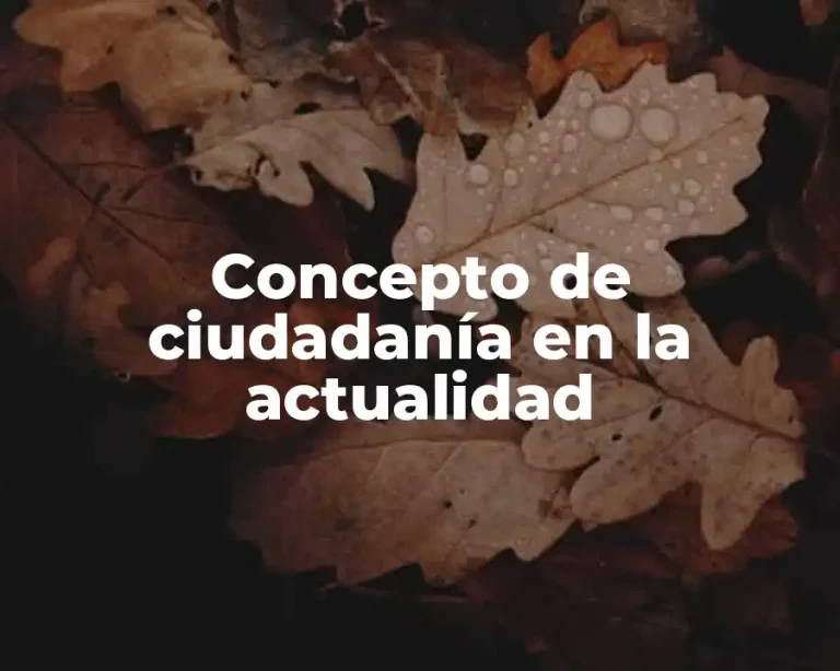 Concepto de ciudadanía en la actualidad