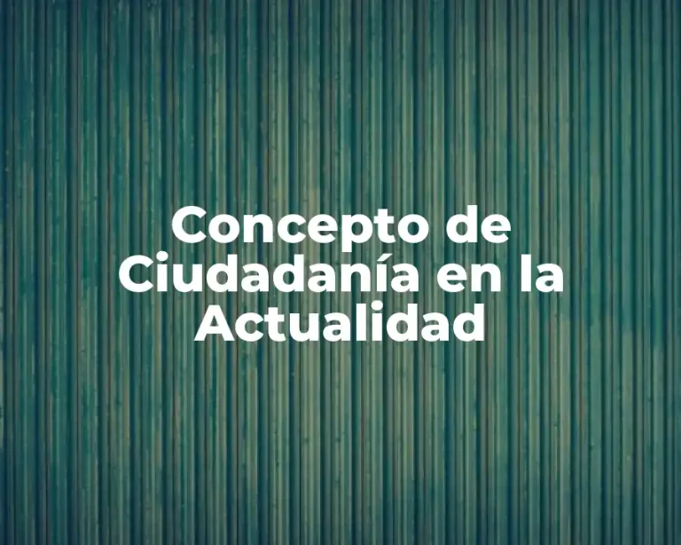 Concepto de Ciudadanía en la Actualidad