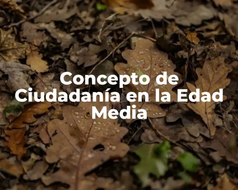 Concepto de Ciudadanía en la Edad Media