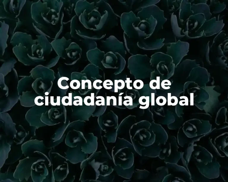 Concepto de ciudadanía global